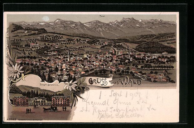 Cartes postales: Litho Wald, Totalansicht, Lungen-Sanator – D'occasion à Berlin par bartko-reher