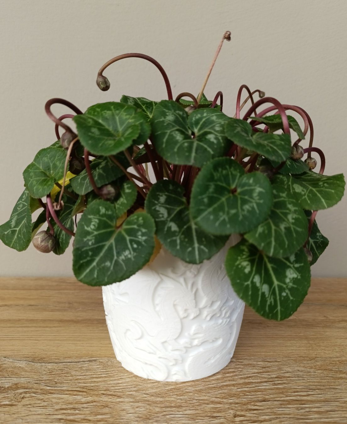 Pots de fleurs: Drachen Blumentopf Fantasy 3D – D'occasion à Brig par Polymita 1