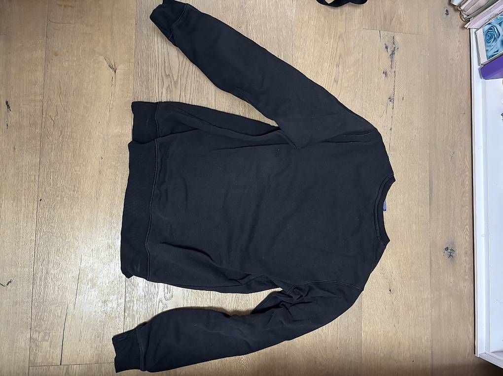 Maglioni & Felpe: Originaler Champion Pullover – Usato da Chur venduto da gio_6rlp 1