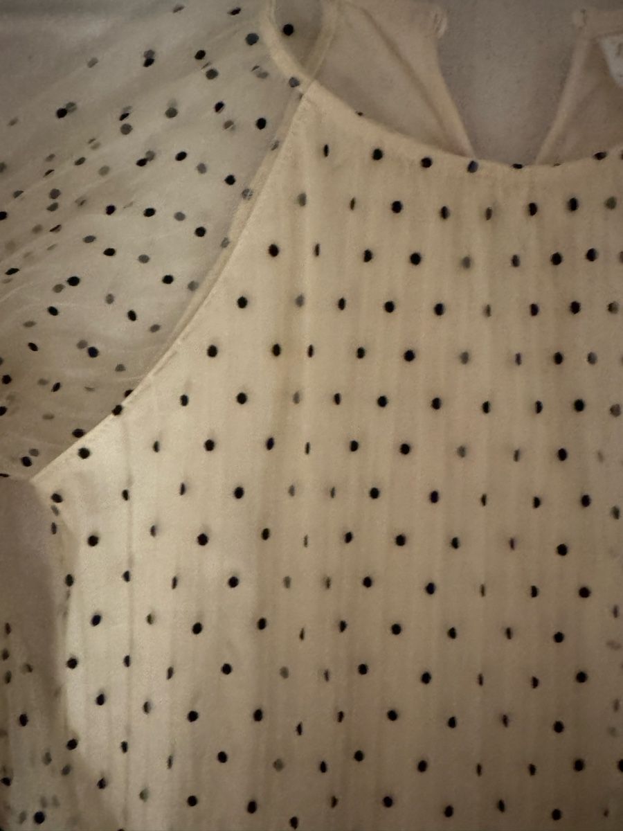 Zara Camicette, T-shirt & Top: Zara Oberteil – Usato da Ebmatingen venduto da F.Bullet 1