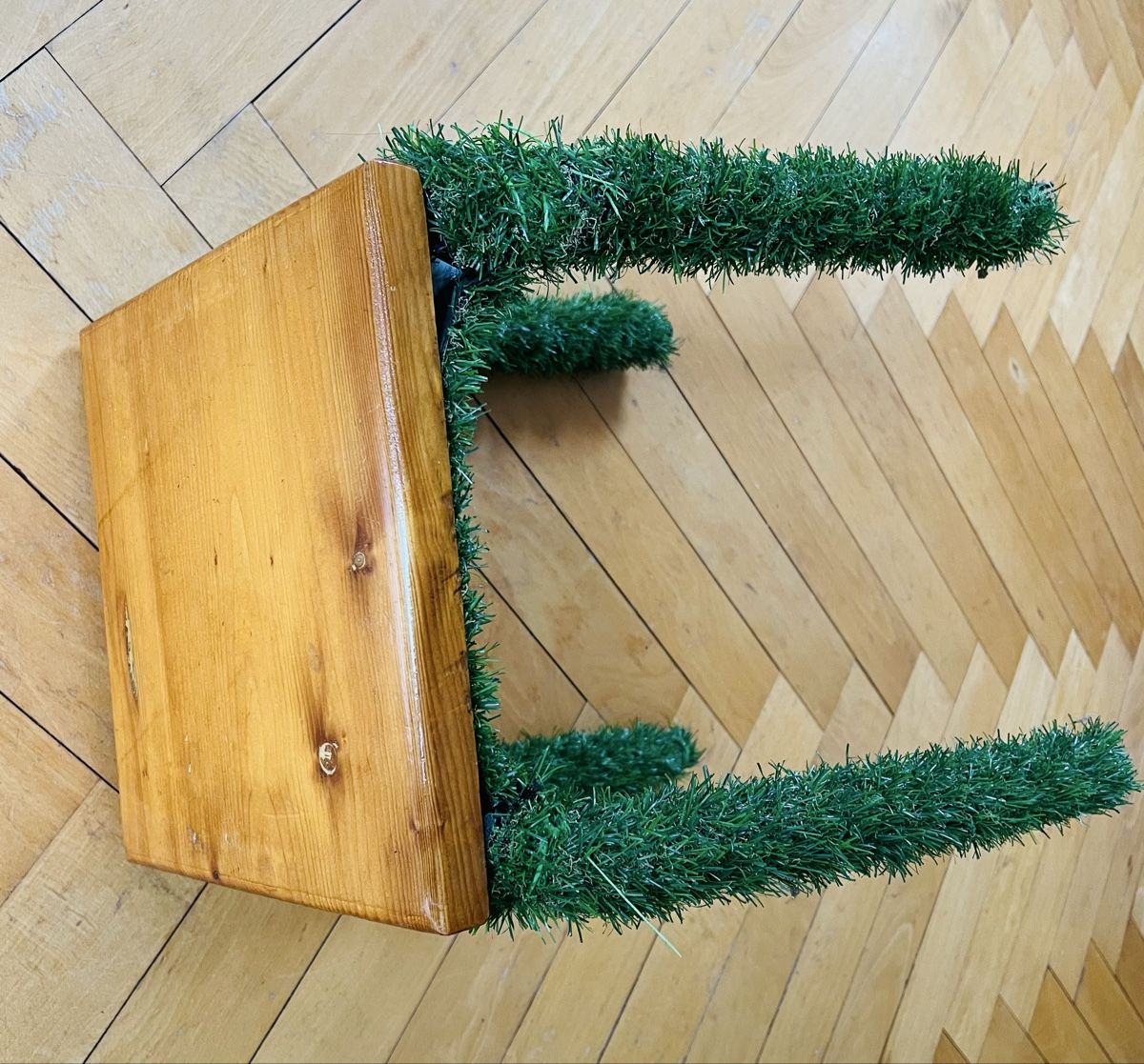 Sgabelli: Hocker mit Grasbeinen - Wirziger Stuhl – Usato da Biel/Bienne venduto da SirRolf 3
