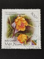 Blumen - Vietnam