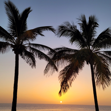 Profile image of OW_BS