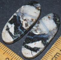 Cabochon Set L-5010 – 1 Paar Palm Wurzel Achat für Ohranhäng