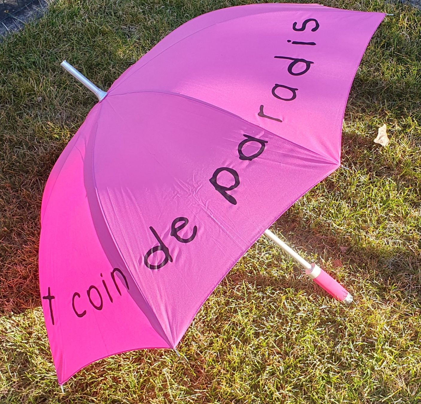 Ombrelli: parapluie – Nuovo (secondo la descrizione) da Sion venduto da bene123