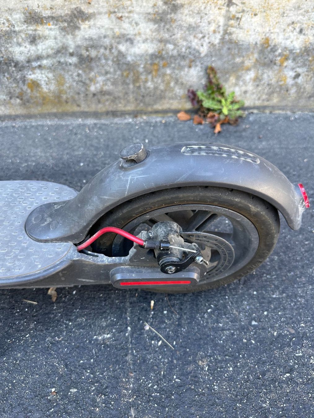 Kickboard: Elektro Tretroller – Usato da Liestal venduto da FuV01 3