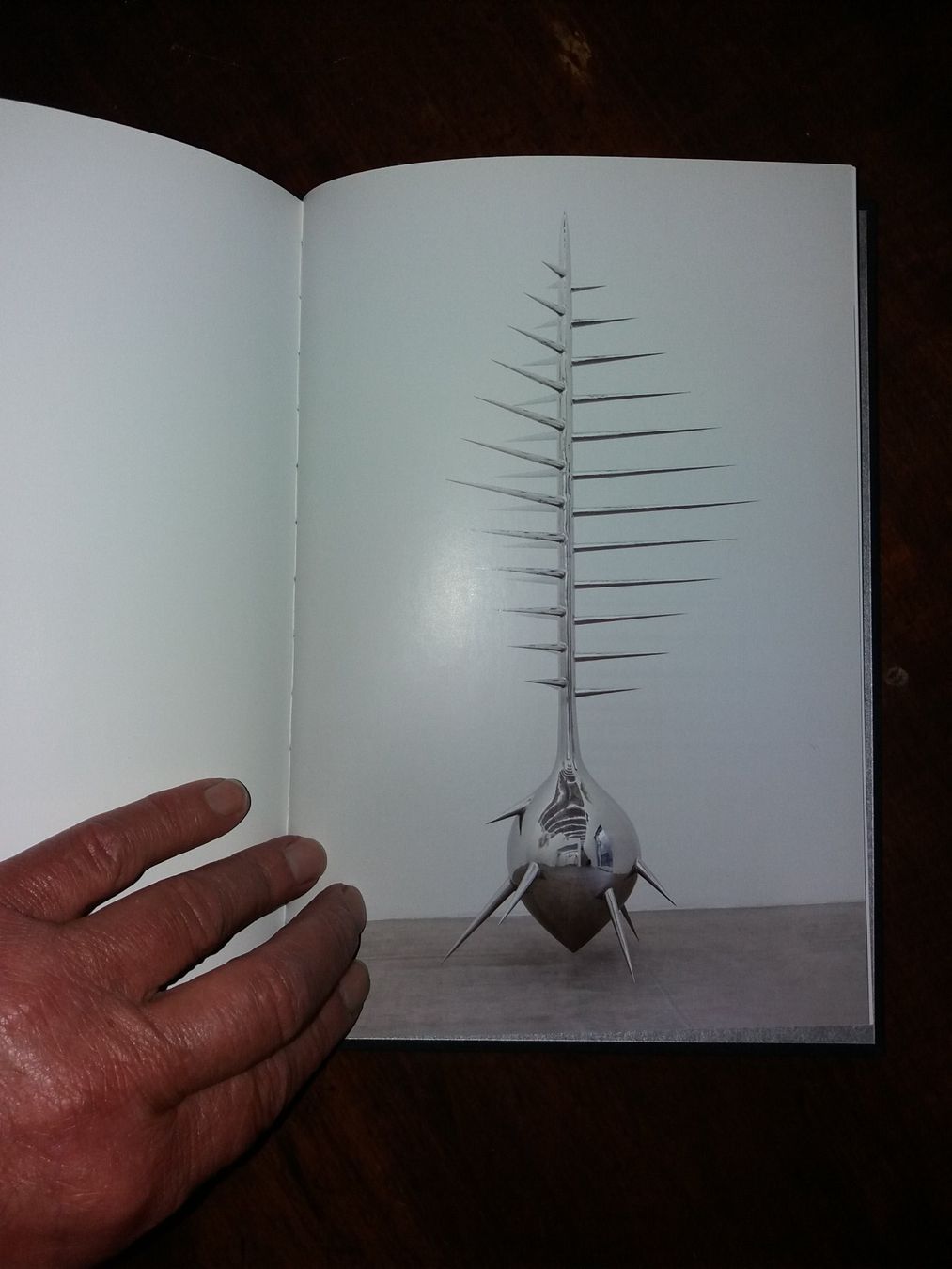 Libri: Buch "Not Vital Suicides" Kunstklassssssssiker selten – Usato da Welschenrohr venduto da Regool 6
