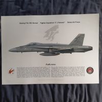 Staffelprint Fliegerstaffel 17 F/A-18 Schweizer Luftwaff