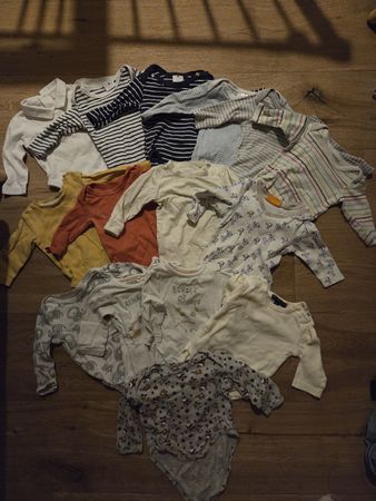 15 Langarmbodies