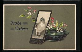 Osterküken-Portrait auf einer Carte-de-