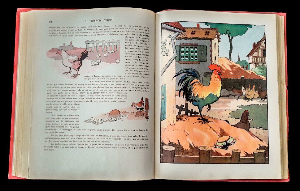 Libri: Le Buffon choisi Benjamin Rabier Garnier v. 1920 Animaux – Usato da Tavannes venduto da Nekosumi 2