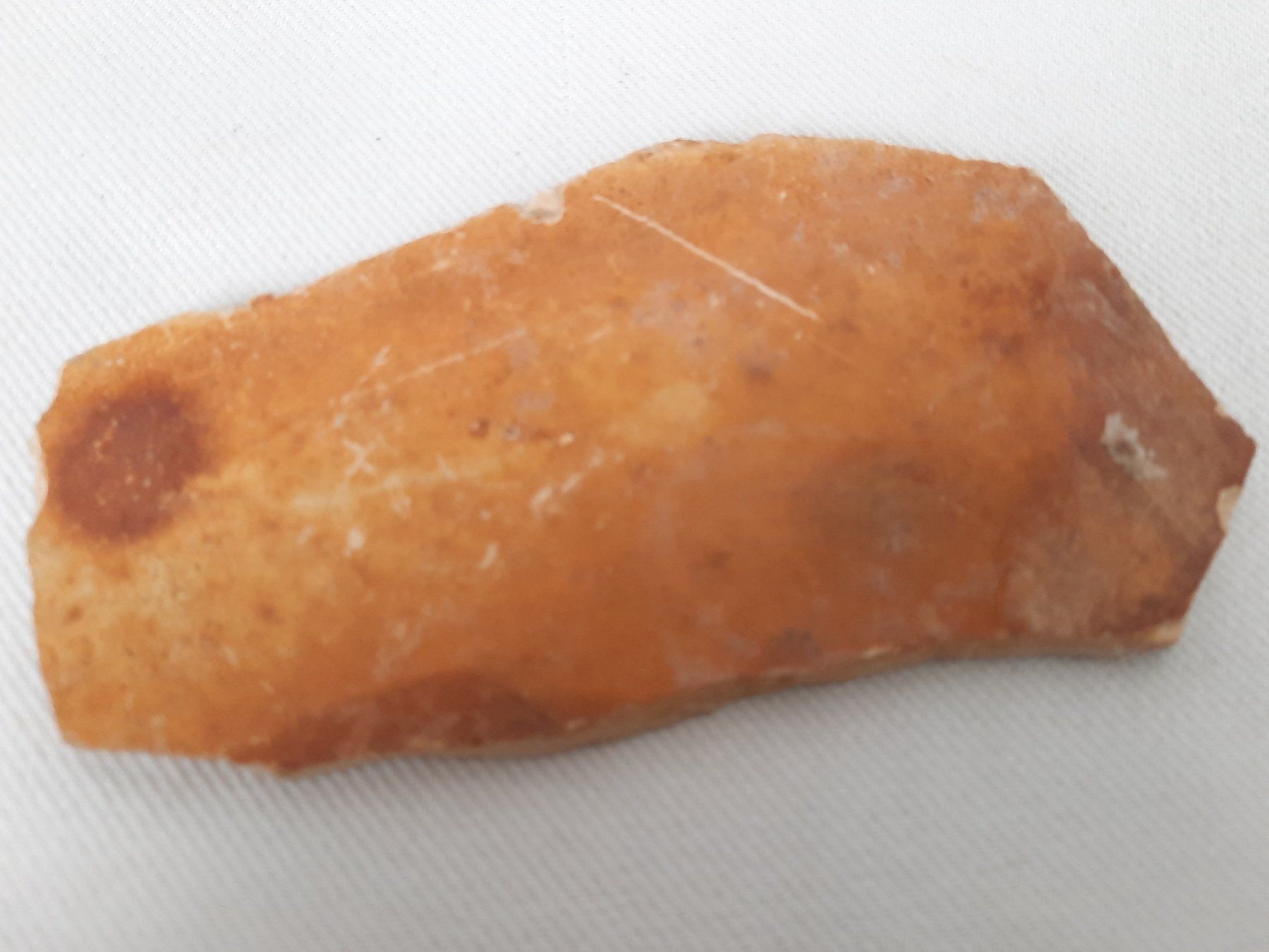 Fossili: 3 Fossilien – Usato da Beinwil am See venduto da Restwert_Beinwil 2