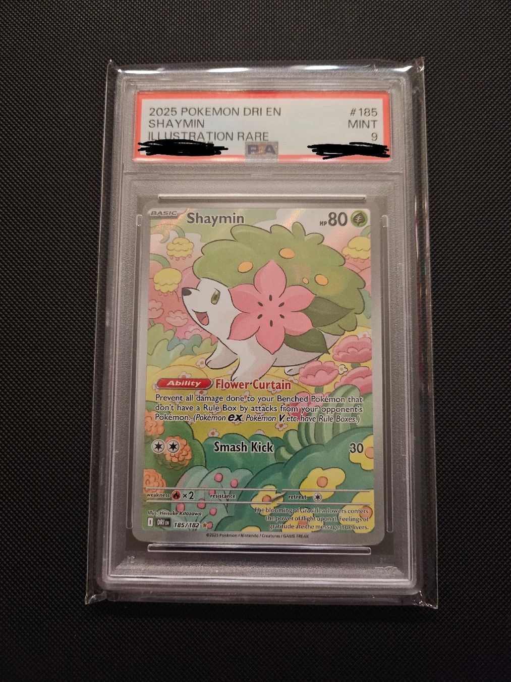 Pokémon Carte collezionabili: Shaymin IR PSA 9 MT - DRI 185 EN – Nuovo (secondo la descrizione) da Wettingen venduto da BoogieDown
