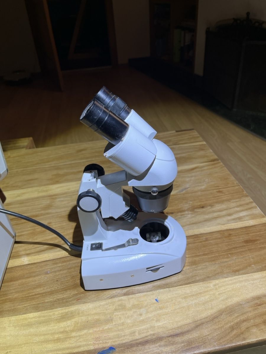 Microscopi: Binokular – Usato da Siebnen venduto da Sweetrevenge 2