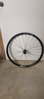 DT Swiss 240 XMC 1501 Carbon Hinterrad - 29 Zoll