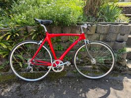 Felo Velo / Carbon Citybike