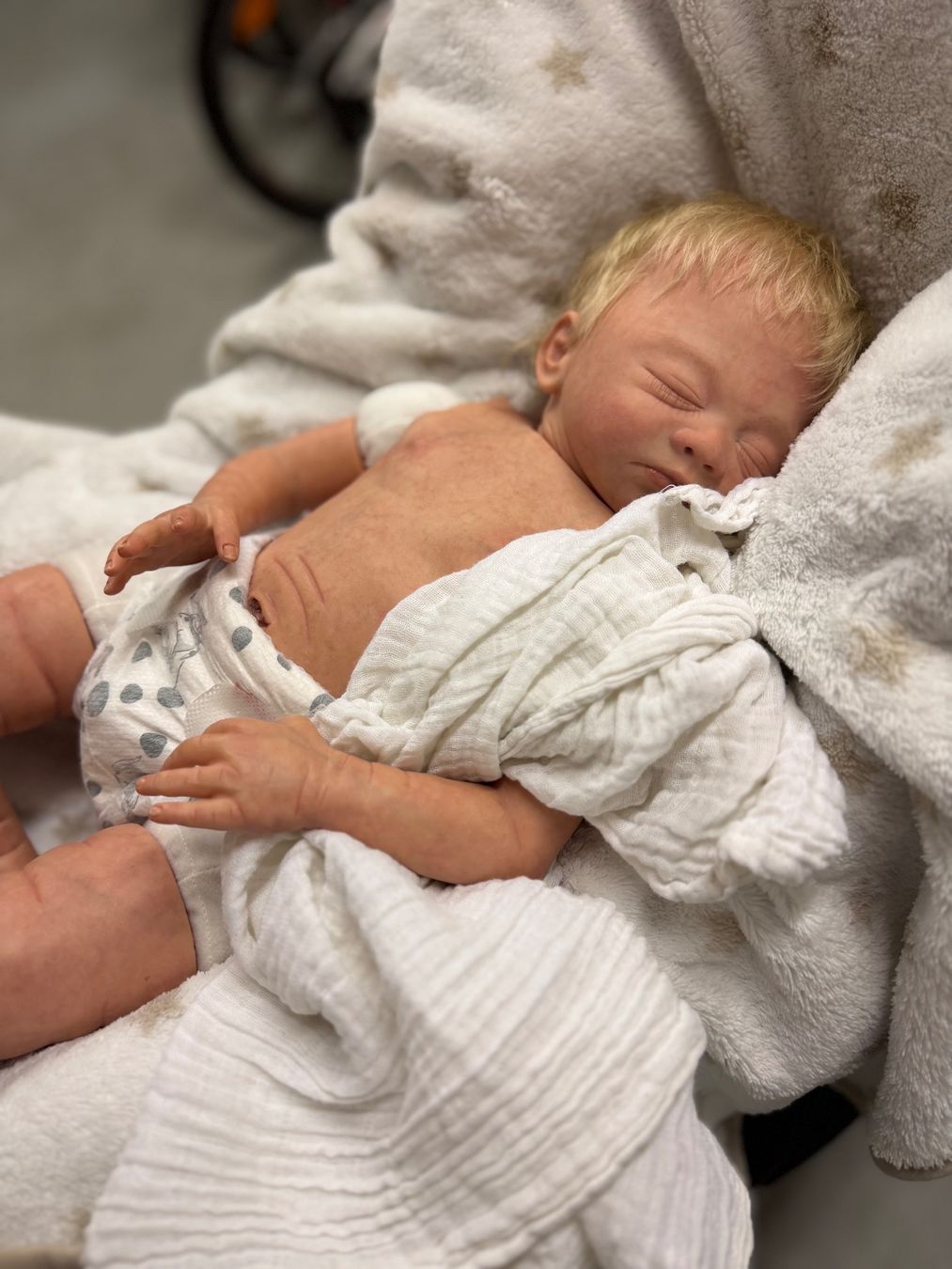 Reborn Poupées: Reborn – Neuf (Voir description) à Unterentfelden par van_m8g7 3