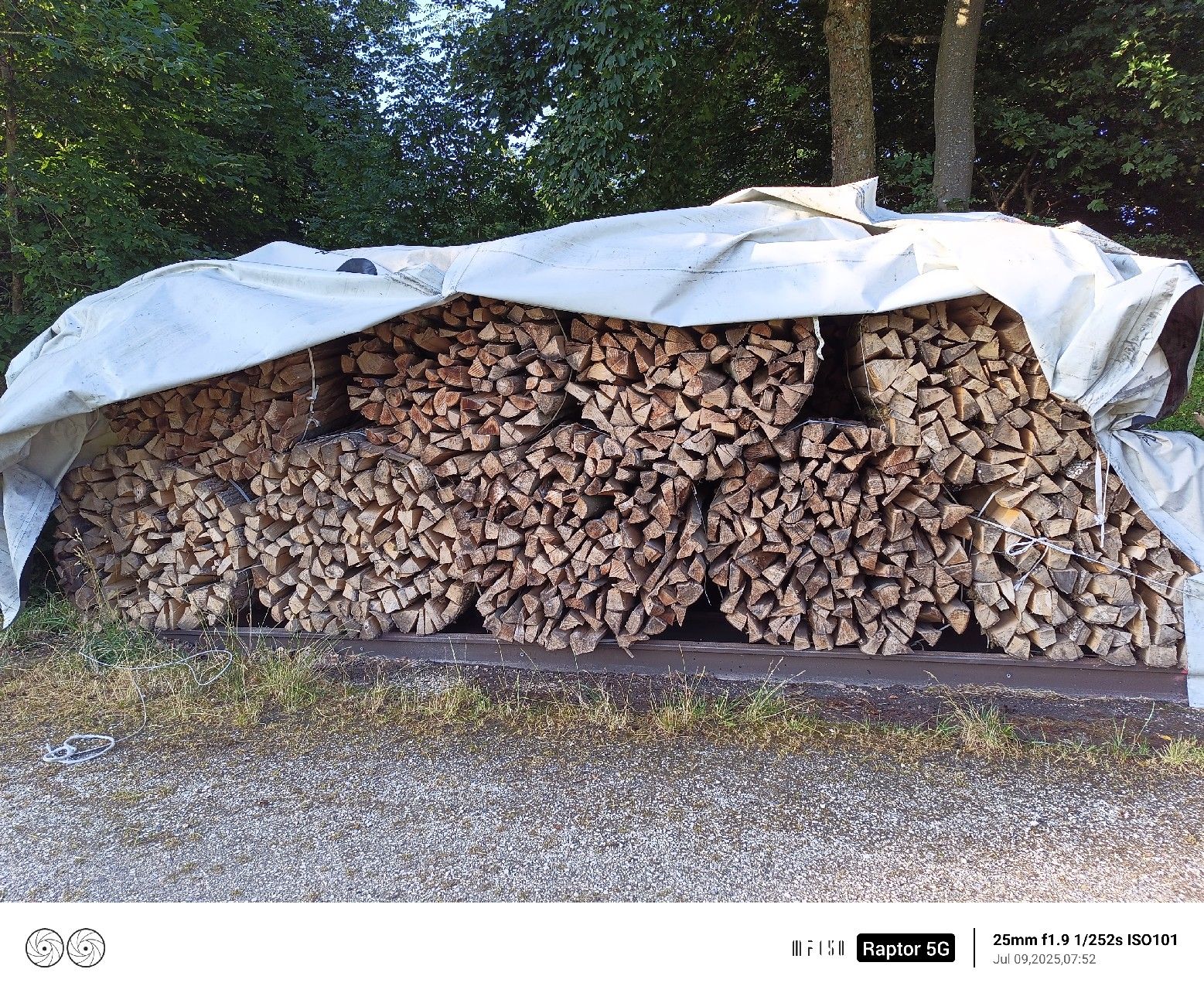 Articoli in legno: Brennholz – Nuovo (secondo la descrizione) da rumisberg venduto da Rbergler 3