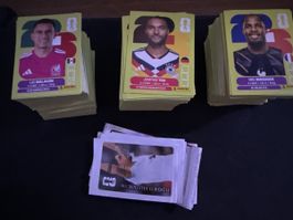 Panini Bilder