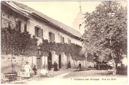 Château des ALLINGES (F)