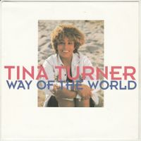 Tina Turner - Way of the World  7" Vinyl 1991