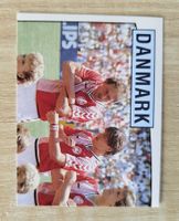 Panini Euro 1988 Einzelsticker Nr. 99