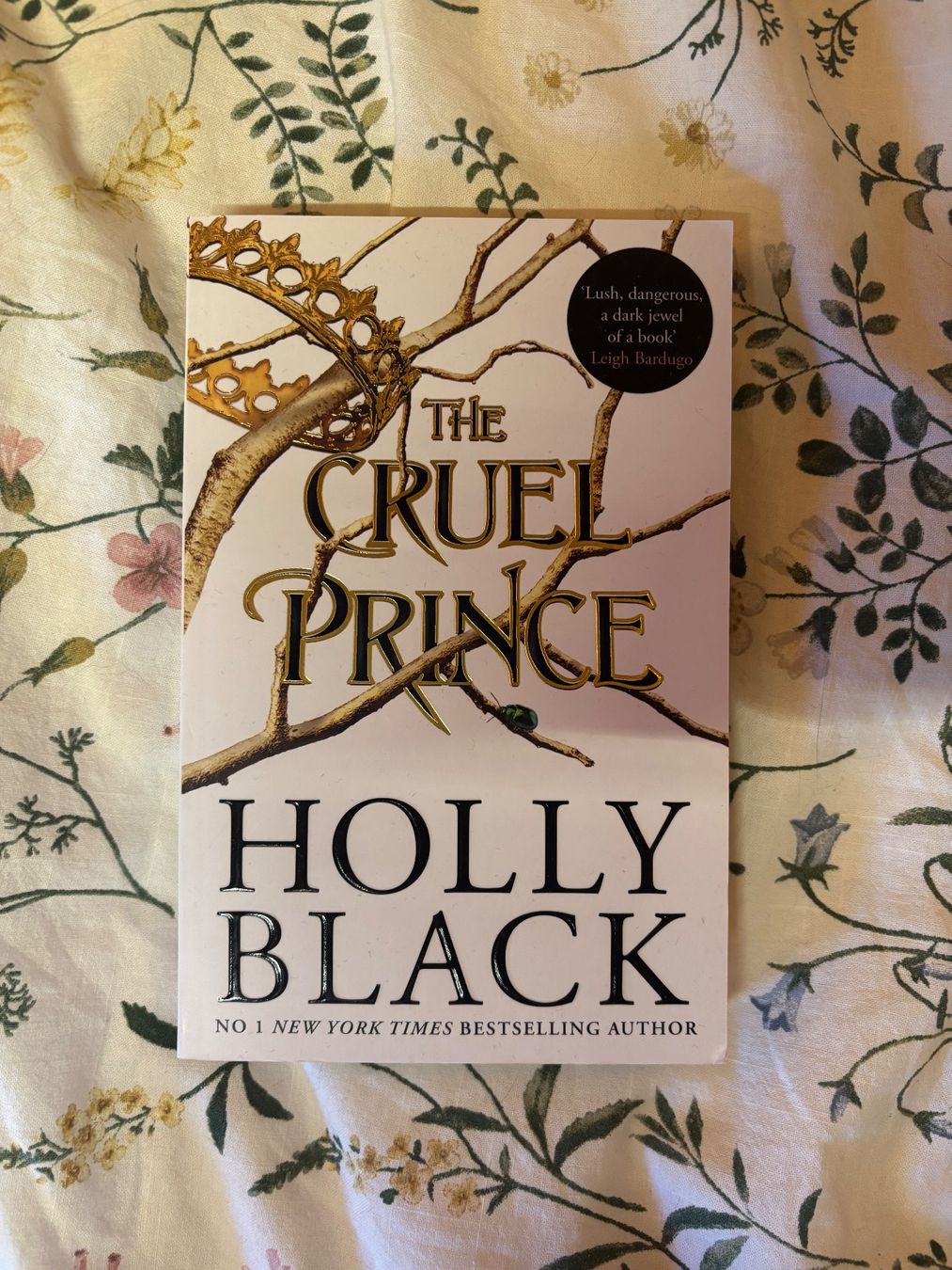 Libri: The Cruel Prince – Nuovo (secondo la descrizione) da Ollon VD venduto da ana_r595
