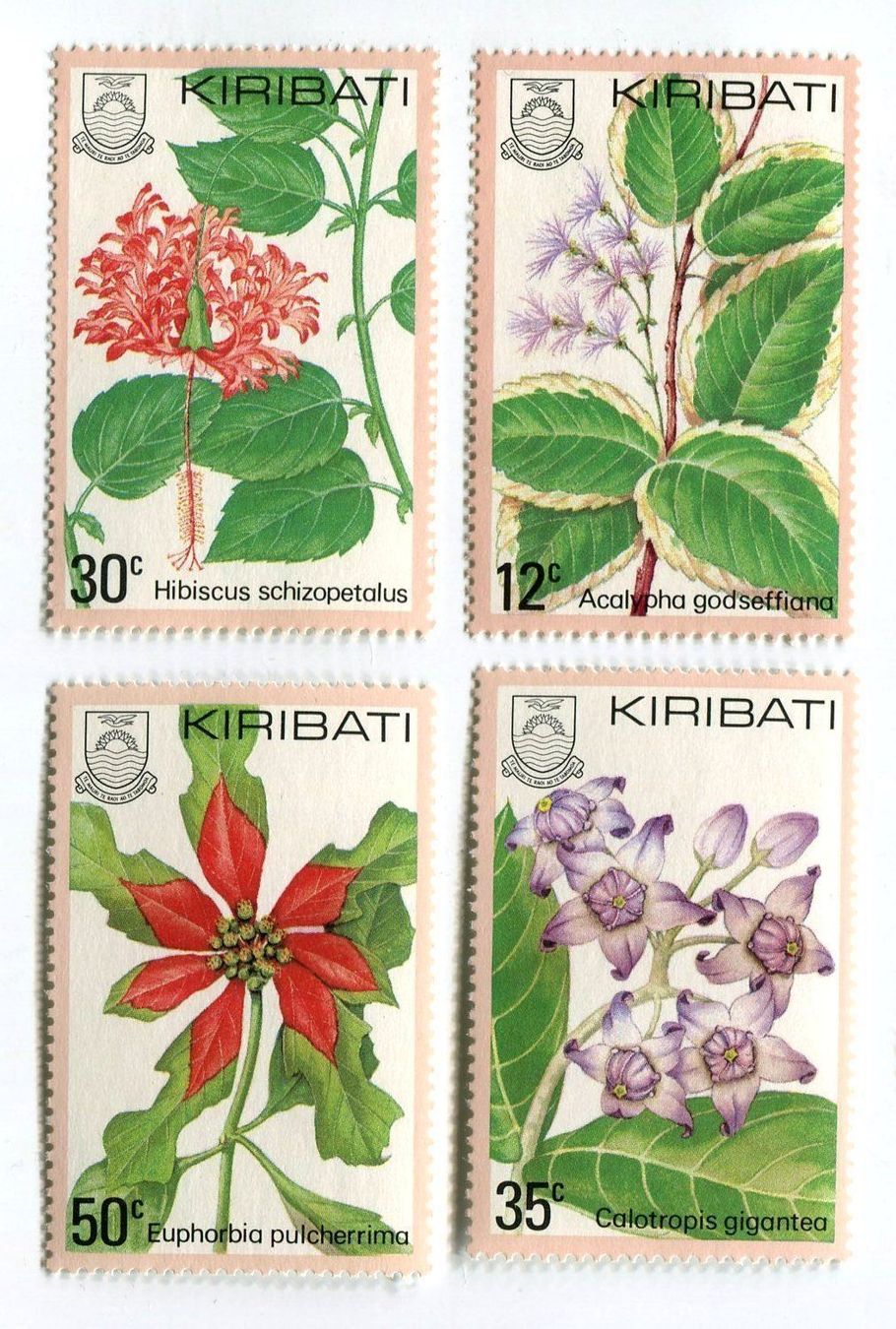 Tutti i francobolli: Briefmarken "Blumen". Kiribati. – Nuovo e nell'imballaggio originale da Basel venduto da Butsch5
