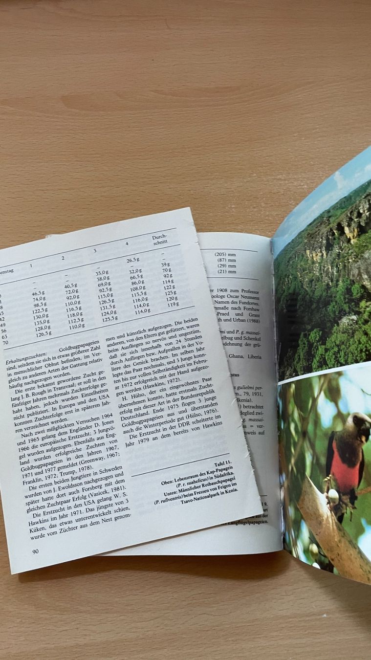 Libri: Langflügel Papageien – Usato da Glattfelden venduto da flomiking 8