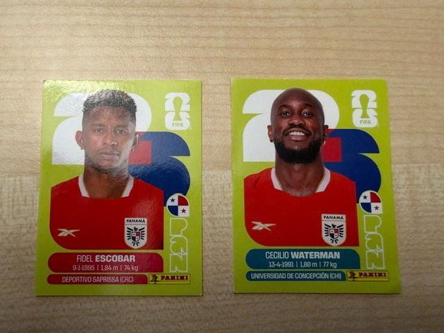 Panini Carte collezionabili: FIFA WM 2026 Panini PAN 4 / 18 – Usato da Egg b. Zürich venduto da pie_9jrw