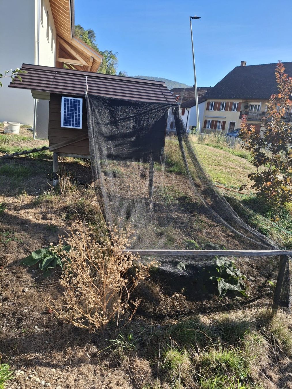 Poulailler pour 6 poules / porte automatique solaire (Gebraucht) in ...