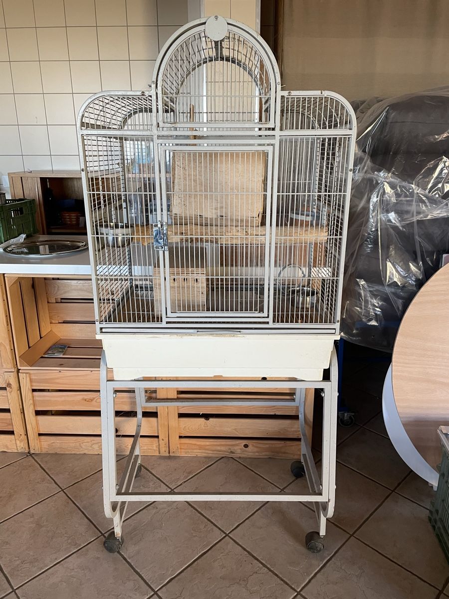 Gabbie, trasporto & Sicurezza: Cage oiseaux – Usato da Gingins venduto da nweb