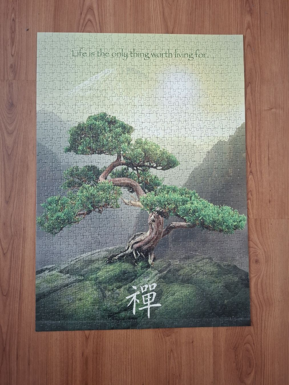 Foto & Immagini: Puzzlebild 700x500 mm – Usato da Hunzenschwil venduto da Hardrock6