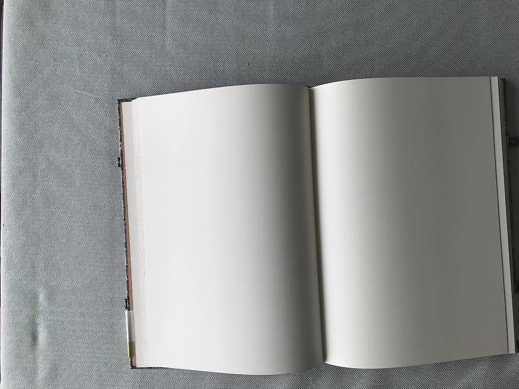 Libri: Paperblanks Buch – Usato da Egolzwil venduto da taraxacum65 4