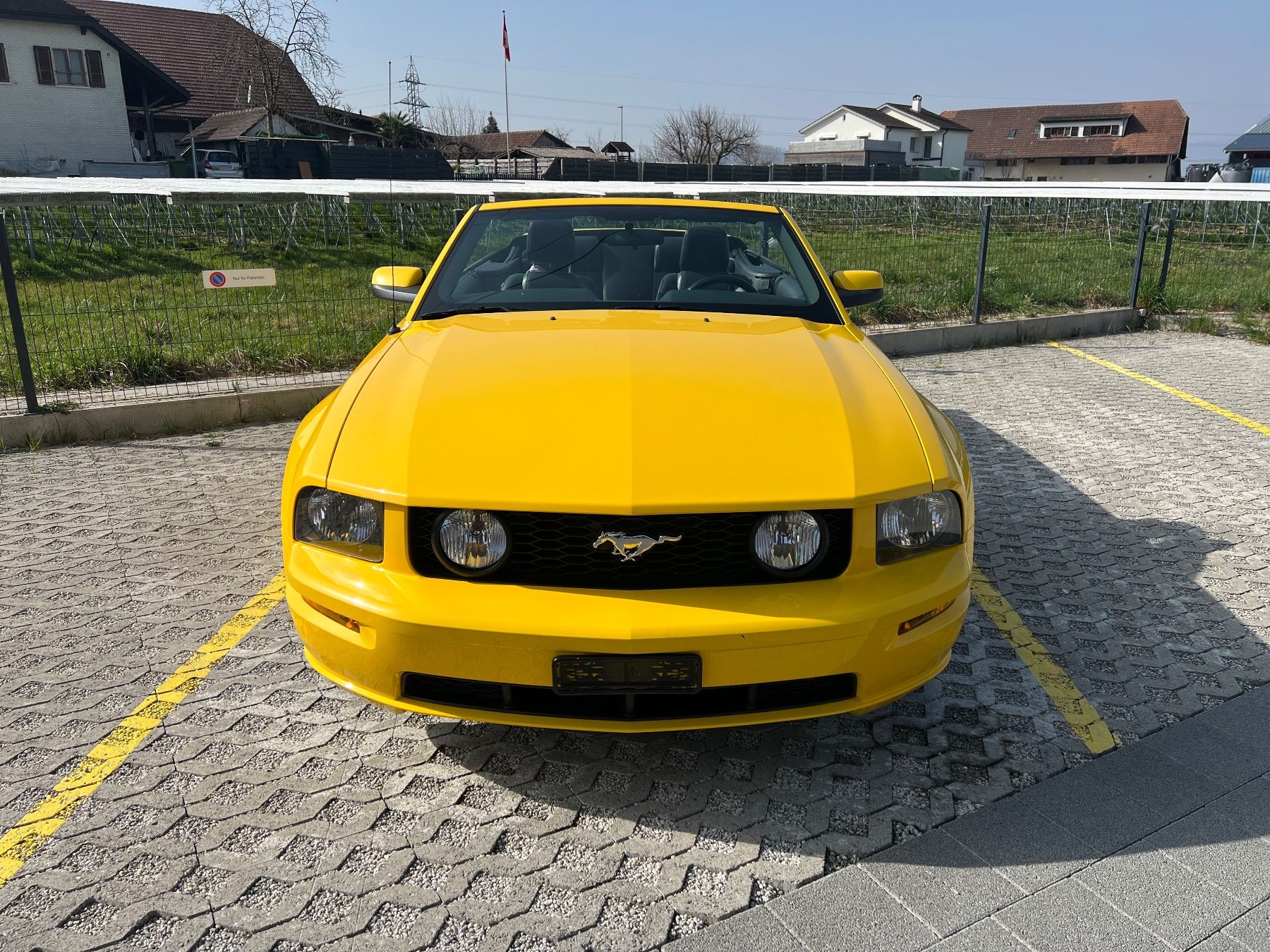 Ford Automobili: Ford Mustang GT V8, 4.6L – Usato da Galmiz venduto da vanessa4615 8