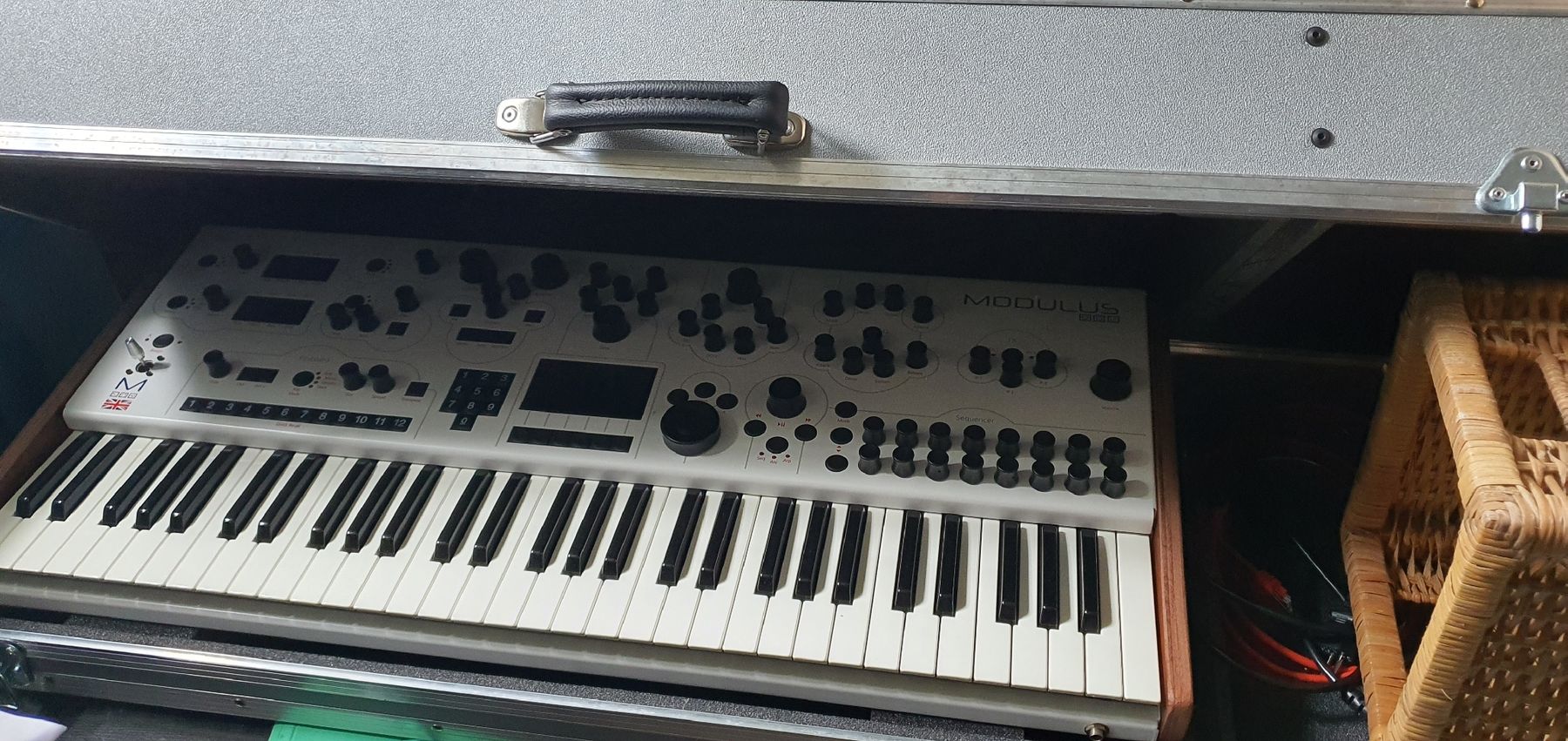 Modal Electronics Strumenti musicali: Modal 002 mit Koffer - wie neu – Nuovo (secondo la descrizione) da Muri AG venduto da Jeromia