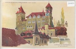 Chateau de Rapperswil ZH - Litho