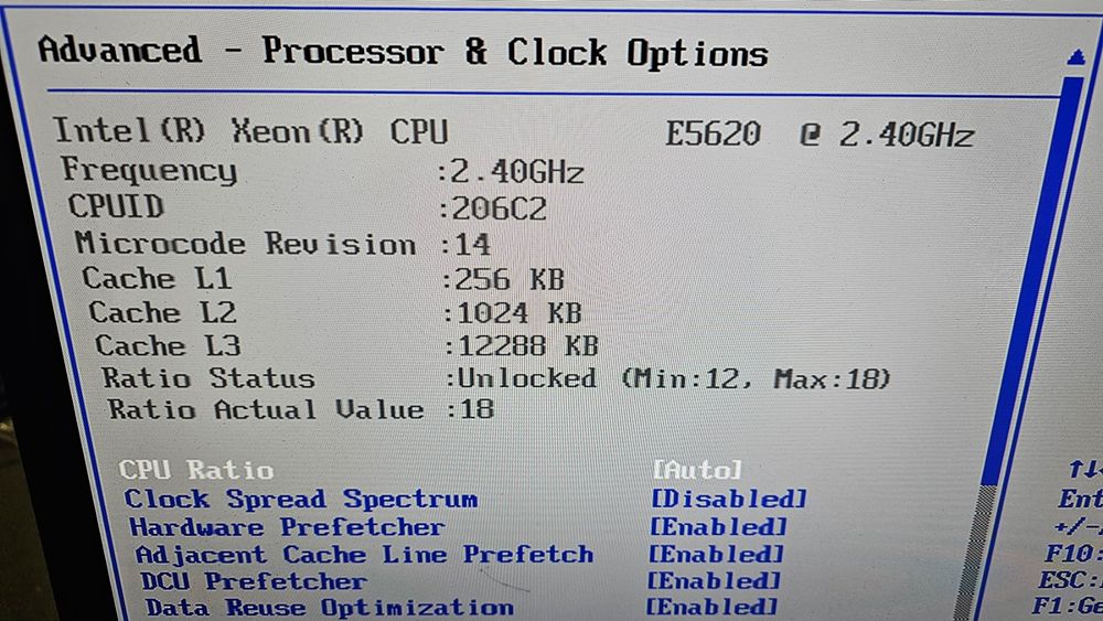 Server Supermicro Model 113 5 (Nr 1) ab 1 (Gebraucht) in Dorf für CHF