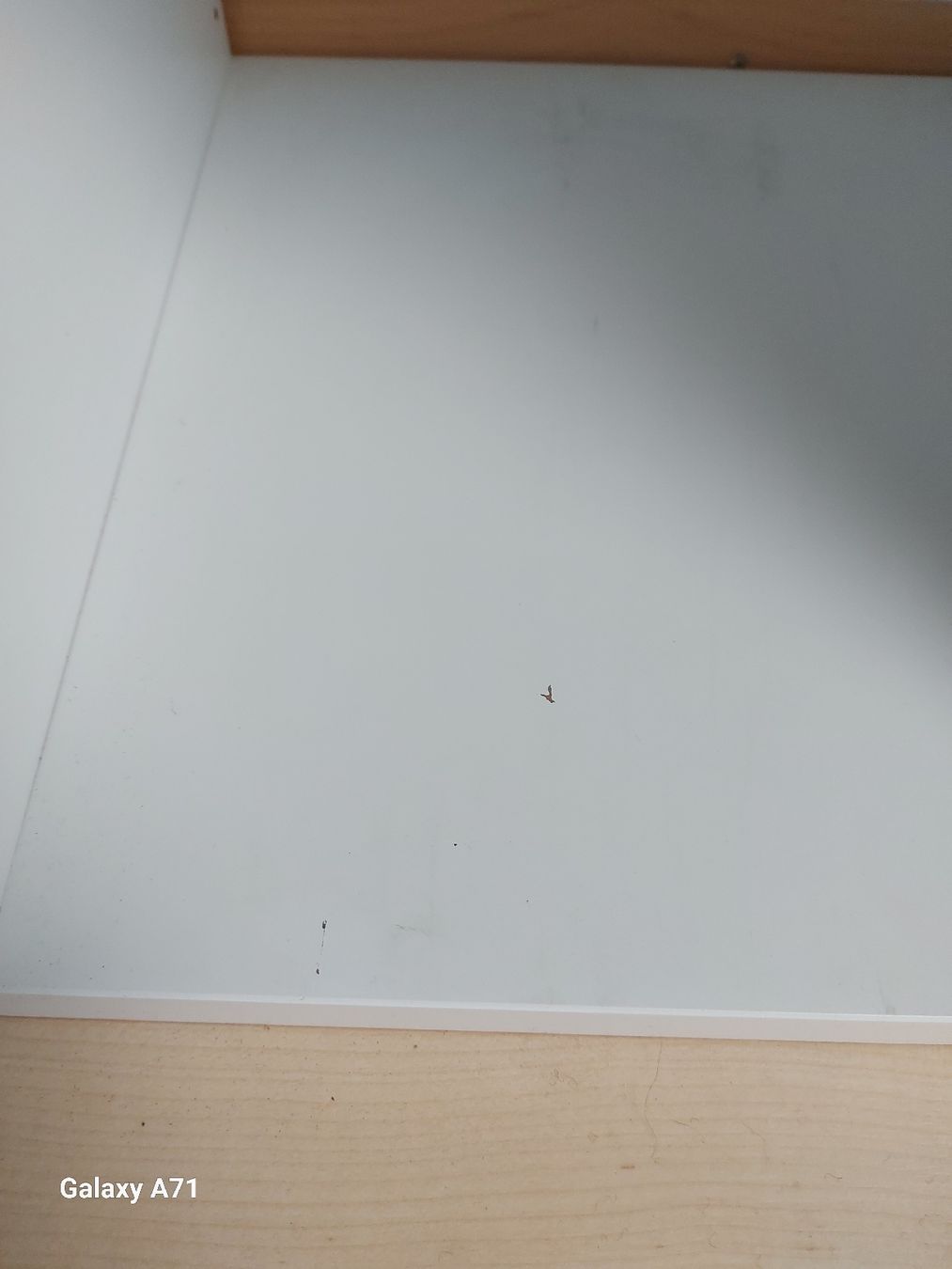 Regale: Grosses Regal Ikea 16 Fächer – Gebraucht aus Rumisberg von AaronRodgers81 2