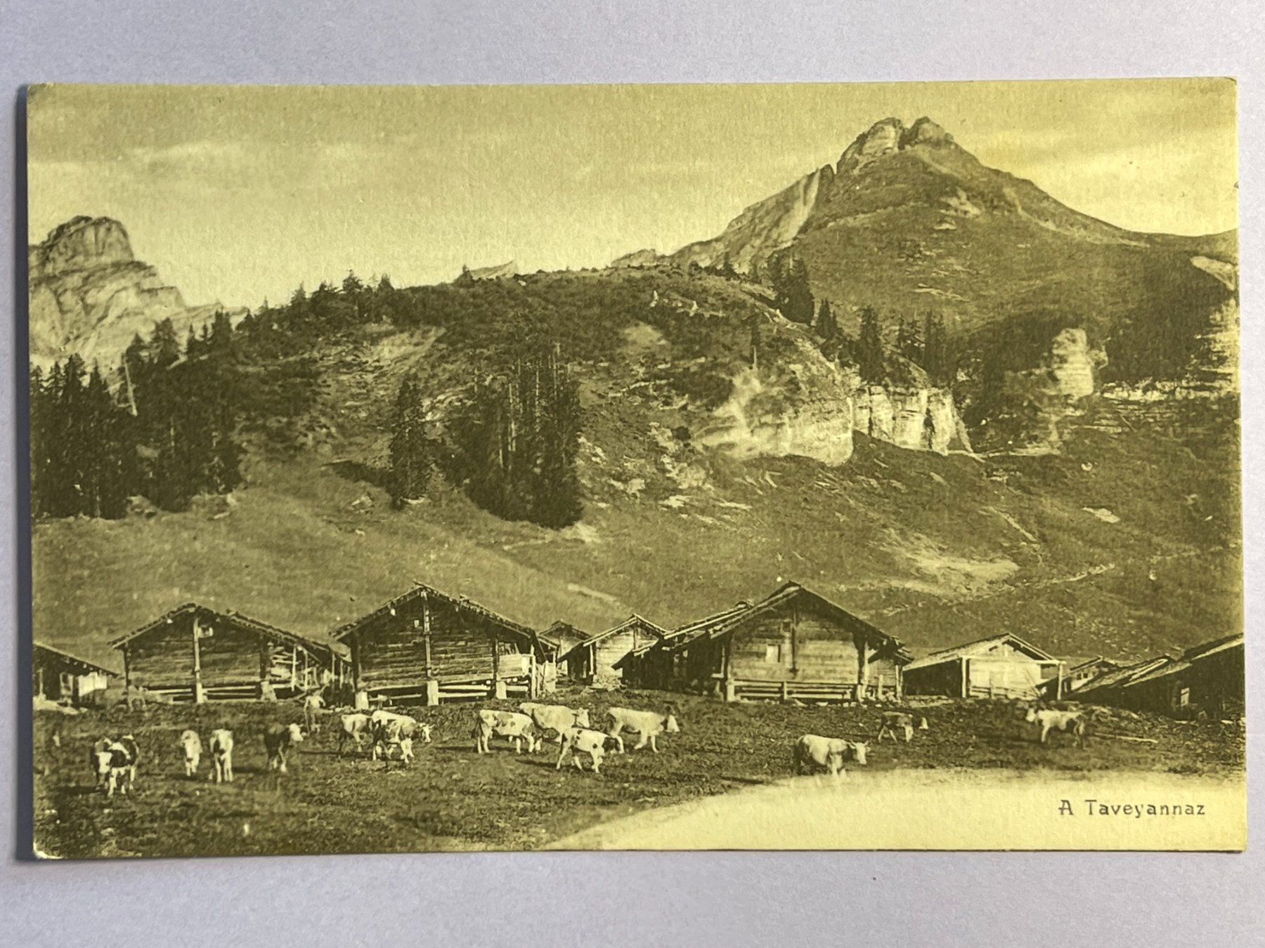 Cartes postales: A Taveyannaz – D'occasion à Steg VS par _vinci_