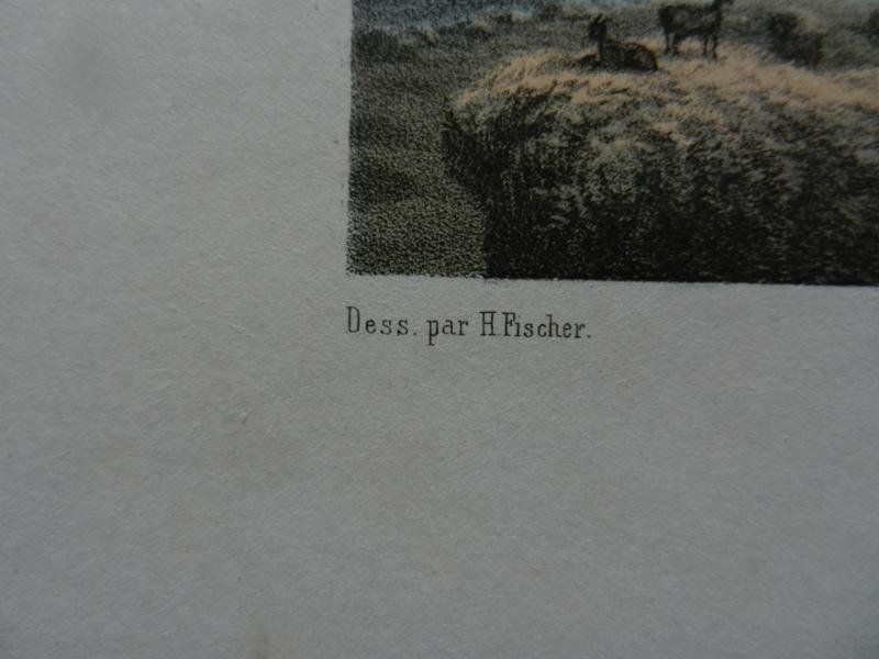 Incisioni: Grimsel getönte Lithographie – Usato da Risch venduto da Rischli15 4