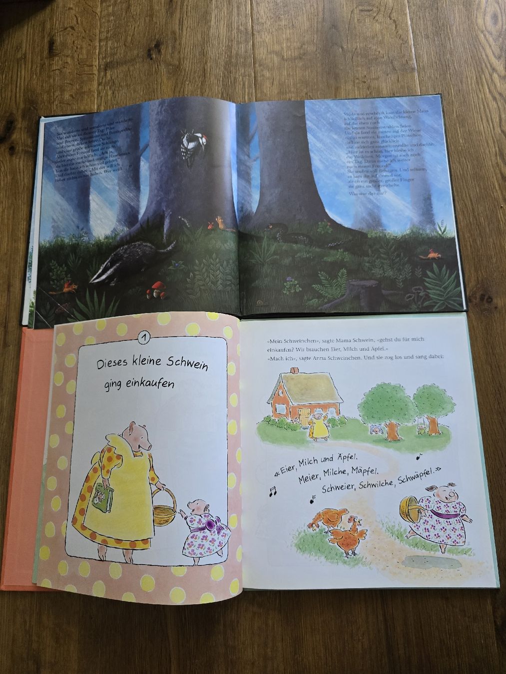 Libri: bücher für kinder – Usato da Wittenbach venduto da Tigerlili 2