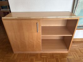Wooden Cabinet with  Door & Shelves / Holz Büro-Regal