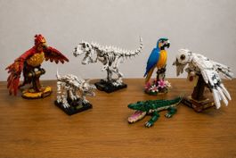 LEGO diverse Sets 75979, 31121, 31136, 21320, 76394