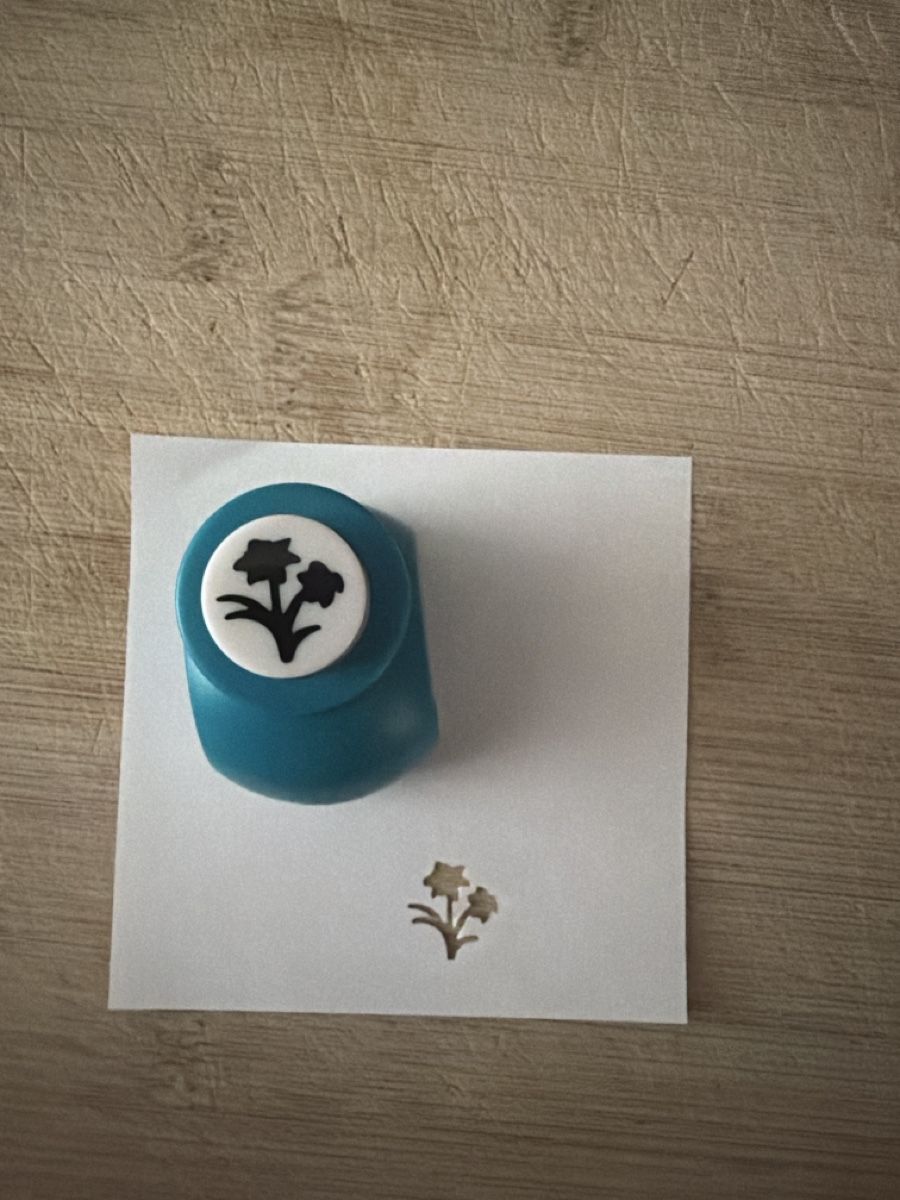 Bastelsets: Craft Punch/Stamp Set with Scissors, almost new – Gebraucht aus Montreux von TStudio 3
