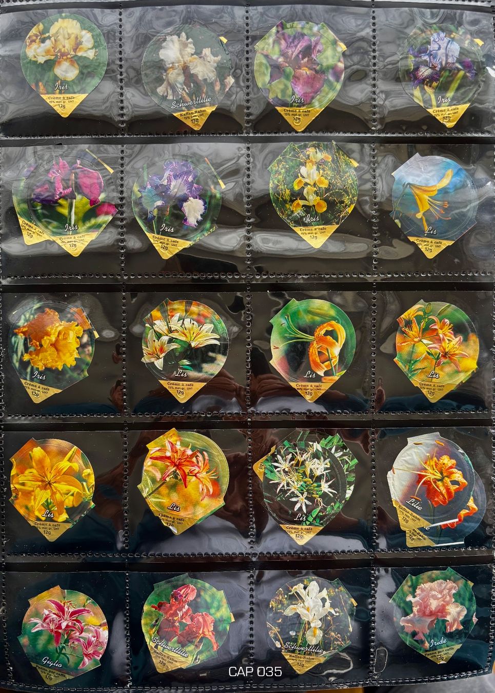 Coperchi dei cremini per caffè: 20 COPERCHI DI CREMINI CAFFÈ •	PIANTE E FIORI • – Usato da PARADISO venduto da pin_vlj8