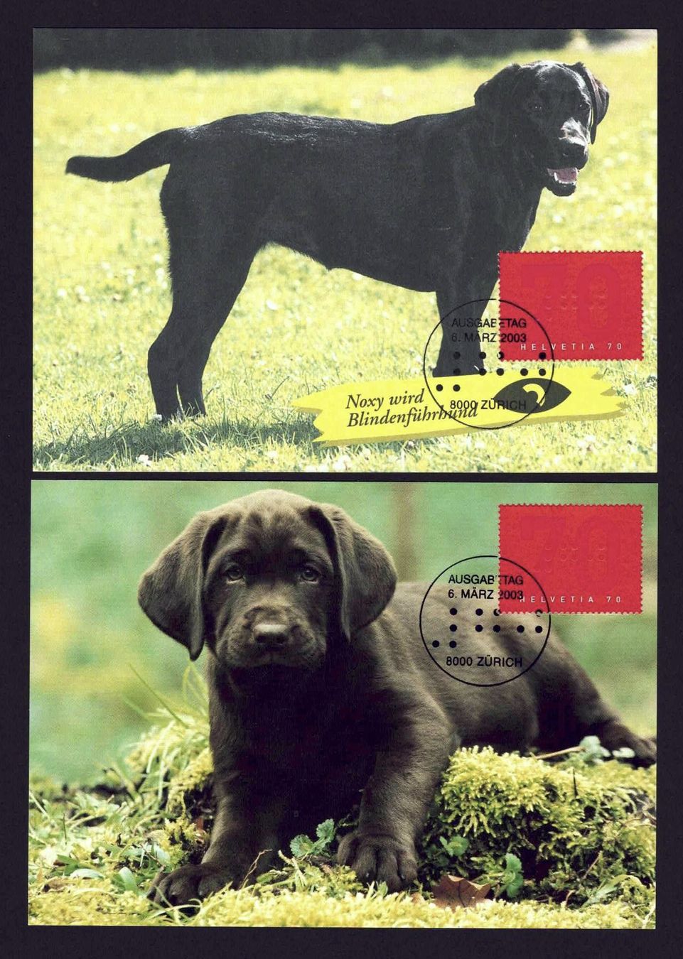 Tutti i francobolli: 4 MK Hunde mit Sondermarke Blindenwesen – Usato da Basel venduto da Pfefferschootte 1