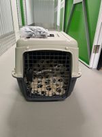 Hunde/Katzen-Transportbox