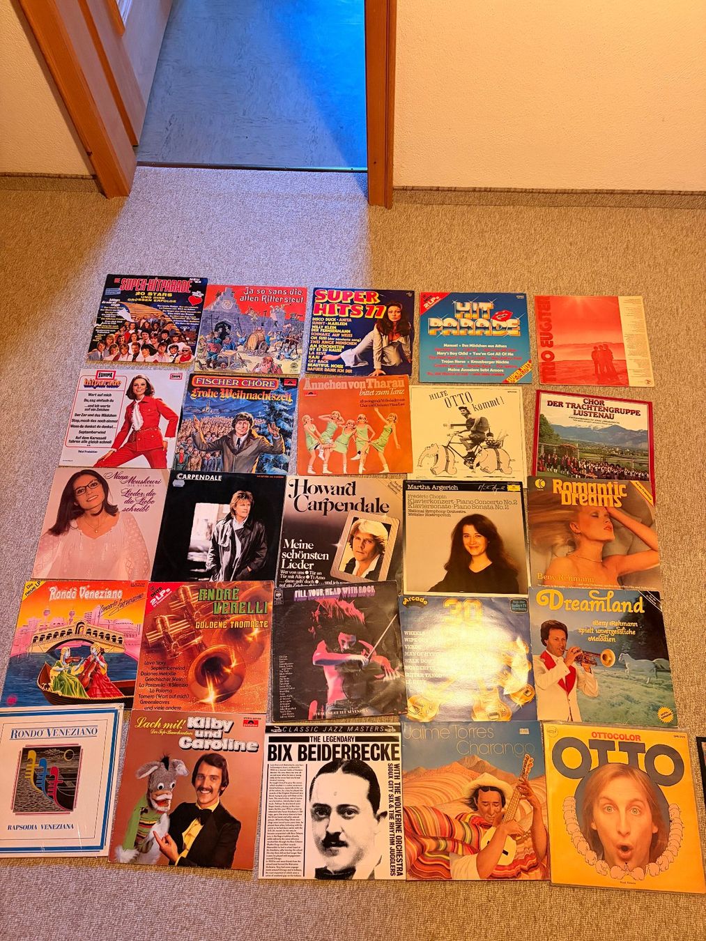 Dischi in vinile: 50 Schallplatten zu verkaufen – Usato da Fideris venduto da alaskino 1