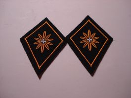 Kragenabzeichen Generalstab, Paar, Stoff